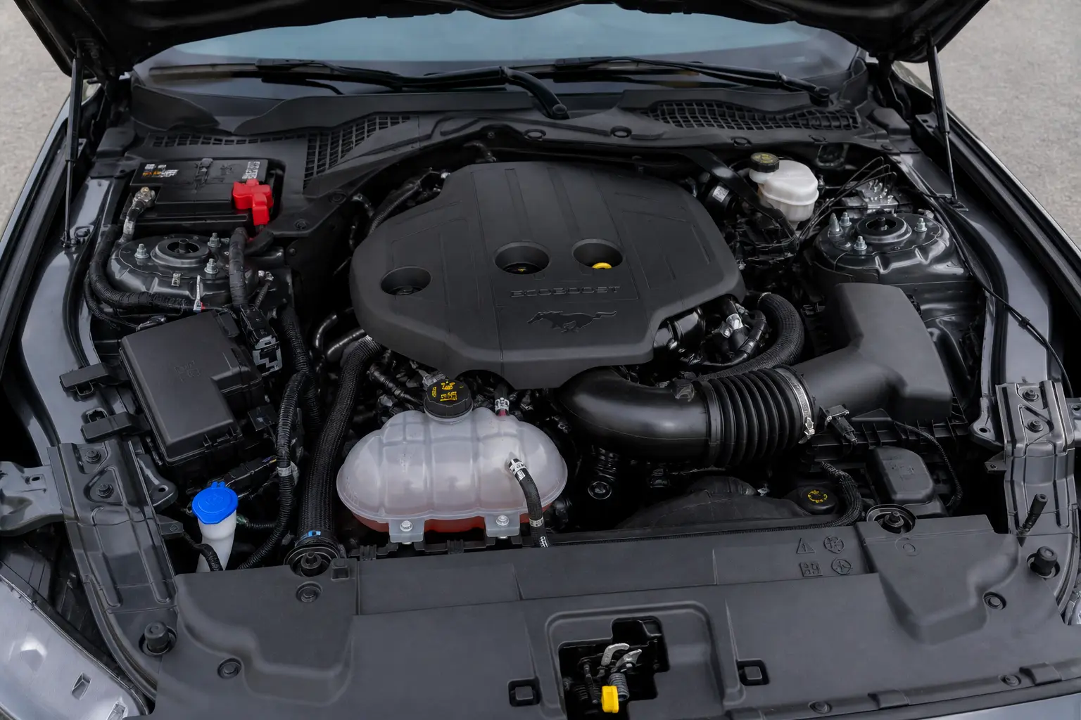 2023 FORD Mustang gallery photo